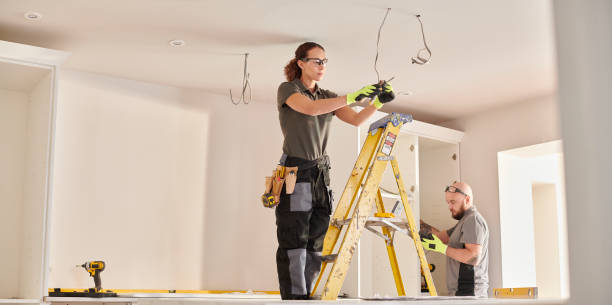 Best Electrical System Inspection  in Pittsfield, IL